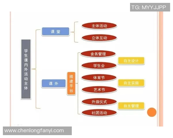 杭州乒乓球队的战术运营体系探讨与实践分析